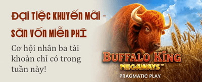 Jin88 Bet - Uy Tín Hàng Đầu